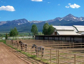 A Painted View Ranch